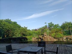 -南京国睿金陵大酒店