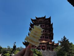 -黄鹤楼公园(黄鹤楼)