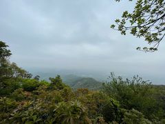-广州市帽峰山景区