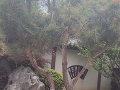 -郑和公园