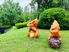 -思念果岭悦温泉