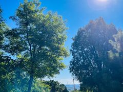 -北京西山国家森林公园