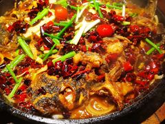 -老板恋上鱼(高新万达店)