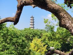 -江心屿景区