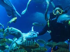 -太平洋海底世界