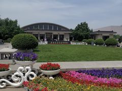 -秦始皇帝陵博物院(兵马俑)