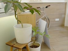 -Onirii Coffee(长乐路店)