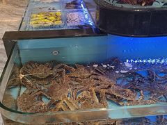 -阿伟海鲜楼·福建菜(延寿店)