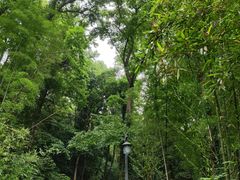 -灵隐飞来峰景区