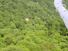 -西安祥峪森林公园