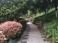 -龙头寺公园