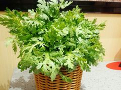 -羊来顺冰煮鲜羊铁锅烀羊肉(八卦岭店)