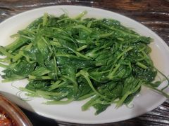 清炒豌豆尖-懒人盐府人家(安贞店)