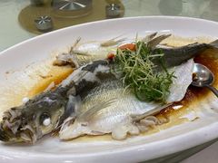 -寻味顺德·南记酒家·传统顺德菜·鱼生(广源路店)