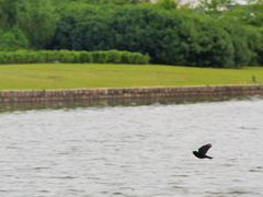 -春花秋色城市公园
