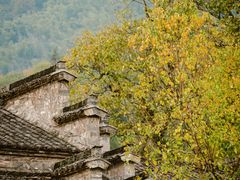 -塔川景区