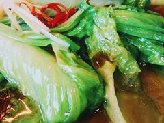 白灼生菜-烛影拾光观景餐厅·创意菜·摄影·小提琴(大唐不夜城店)