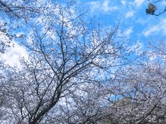 -中国茶叶博物馆(双峰馆区)
