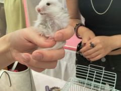 -金茂览秀城