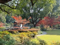 -申粤轩酒楼·三十年粤菜经典(丁香花园店)