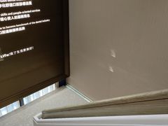 -柏乐口腔医院·舒适化无痛种植牙中心(东盟商务区院)