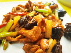 -阿四台山黄鳝饭(东门店)