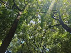 -晓港公园