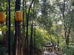 -灵岩山风景区