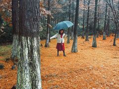 -南京市无想山景区