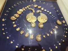 -青岛贝壳博物馆