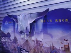 -中影国际影城(华发商都CINITY店)