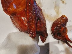 -鸽子侯·家宴·平价海鲜(绿地店)