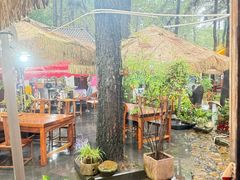 -小小饭店·休闲农庄·安吉松树林里的农家菜
