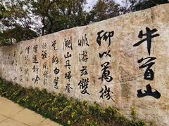 -牛首山文化旅游区