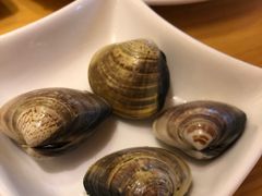 蛤蜊-丽和苑·自助寿喜锅(虹梅路店)