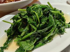 清炒豌豆尖-渝信川菜 · 川味家常菜(财富购物中心店)