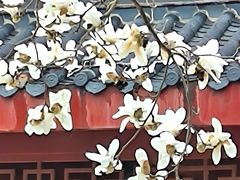 -堤角公园