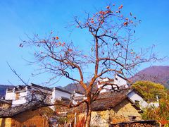 -塔川景区