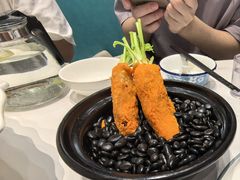 -丁老爷子苏香圆