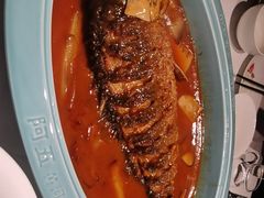 -阿五黄河大鲤鱼(纬三路店)