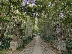 -云栖竹径