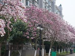 -江南大学(蠡湖校区)