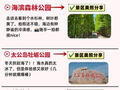 -日照世帆赛基地