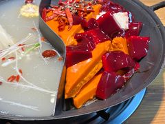 -阳阳老火锅(小南门店)