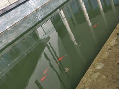 -南京医科大学(江宁校区)