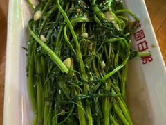 空心菜-桂园白粥·潮汕老味道