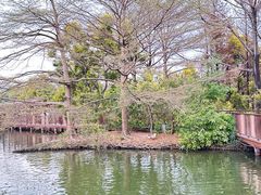 -海珠湖公园