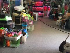 -双季花艺园艺市场(浦东店)