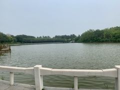 -塘沽森林公园