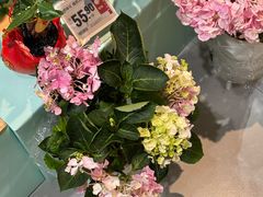 -盒马鲜生(宝地店)
